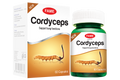 Cordyceps