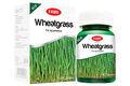 Wheatgrass